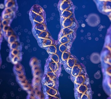 Cytogenetics