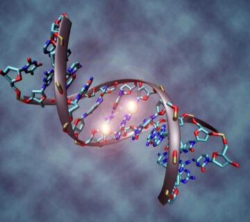 Molecular cytogenetics
