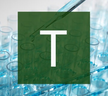 T test