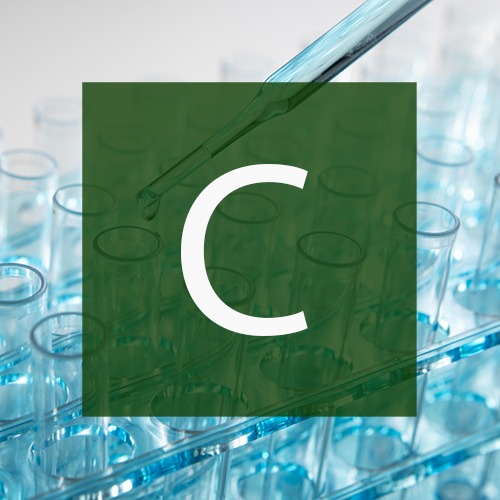 c-test