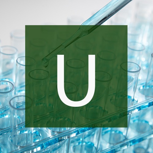 u-test