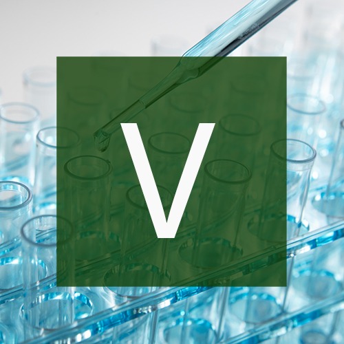 v-test