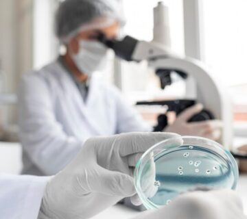 سلول های بنیادی