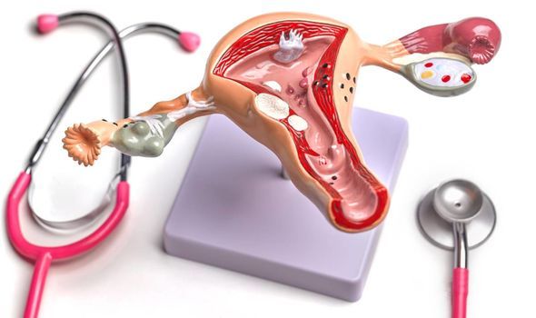 AMH-levels میزان