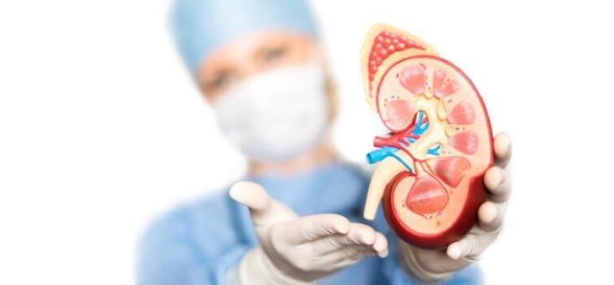 عکس نارسایی کلیه