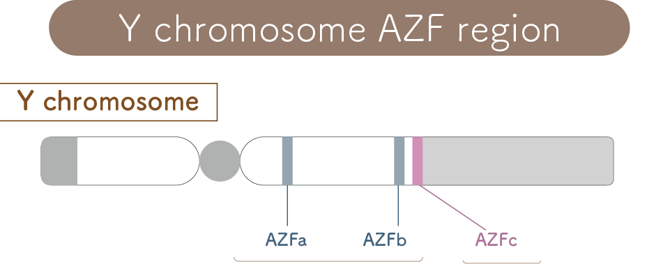 azf
