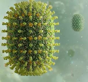 عکس ویروس H1N1