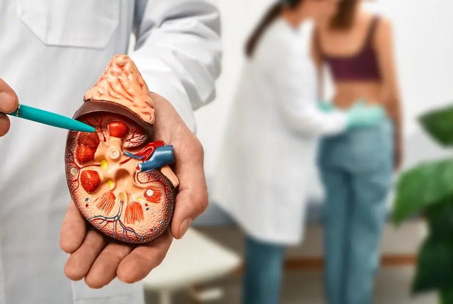 پروتئینوری