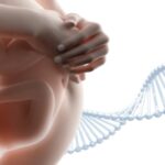 تست ژنتیکی پیش از لانه گزینی یا PGD