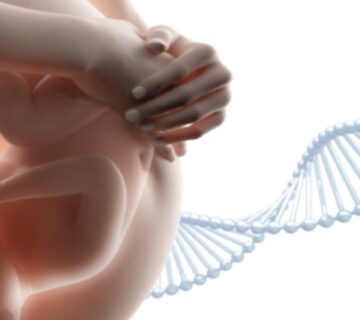 تست ژنتیکی پیش از لانه گزینی یا PGD