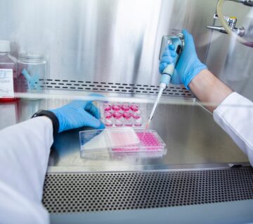 کشت ویروس در آزمایشگاه