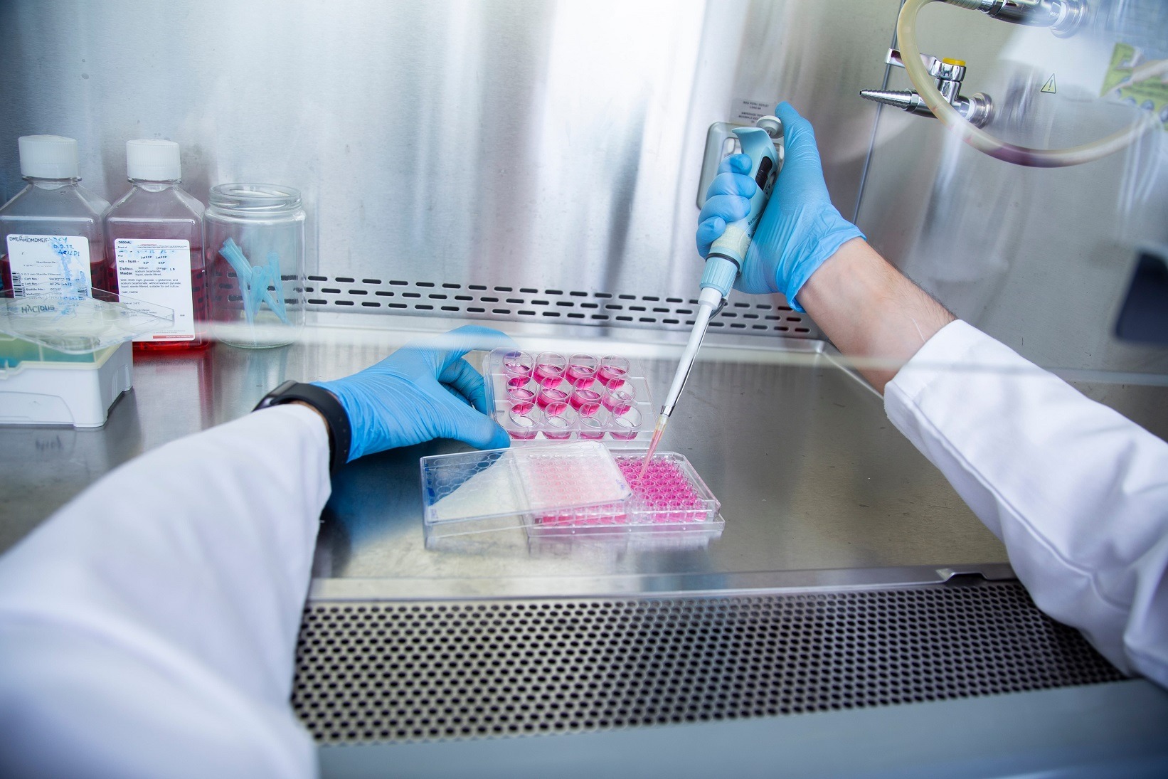 کشت ویروس در آزمایشگاه