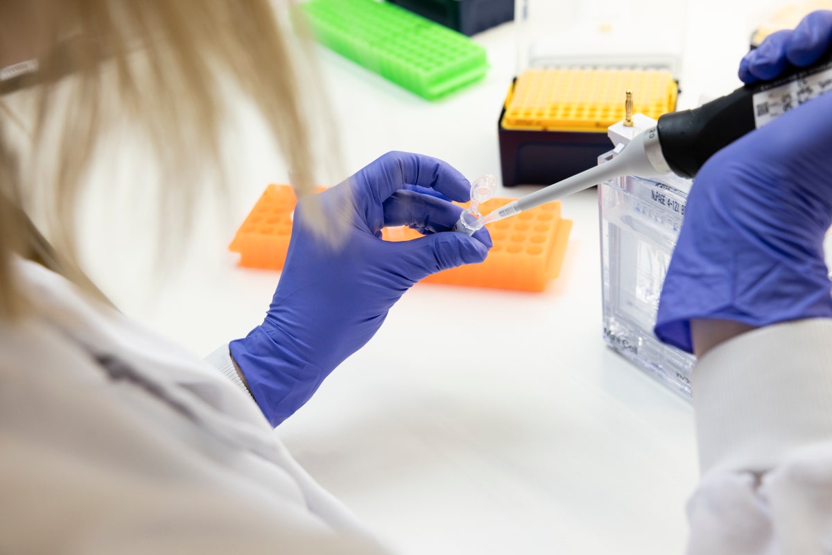 آزمایش وسترین بلات