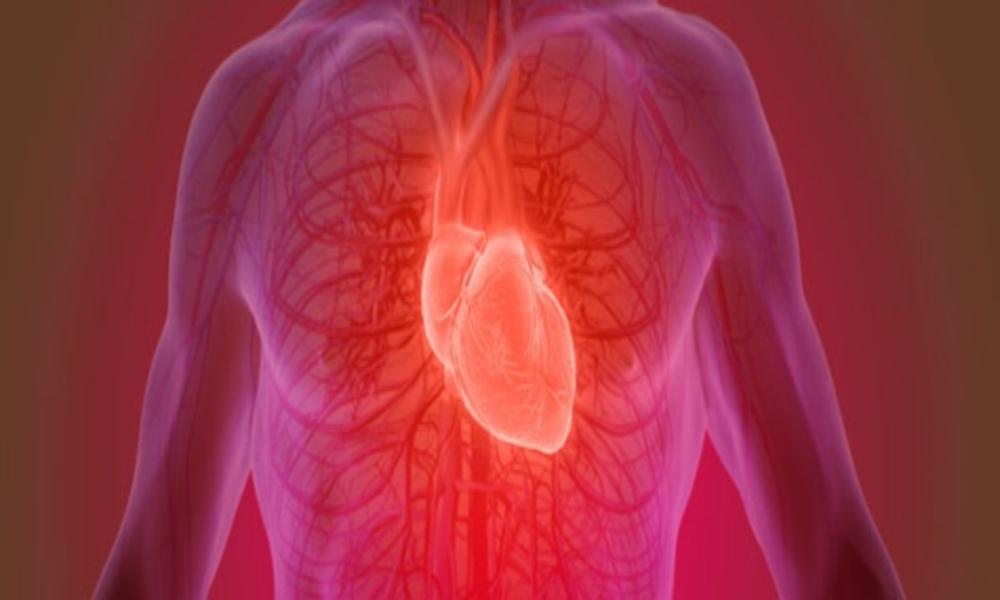 گرفتگی رگ های بدن